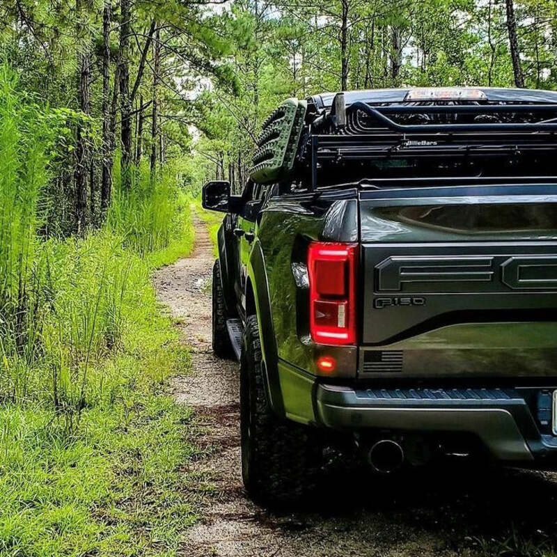 Back View Of The BillieBars Bed Bars For Ford F150