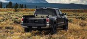 Black Tacoma 1 door drawer system with nature background