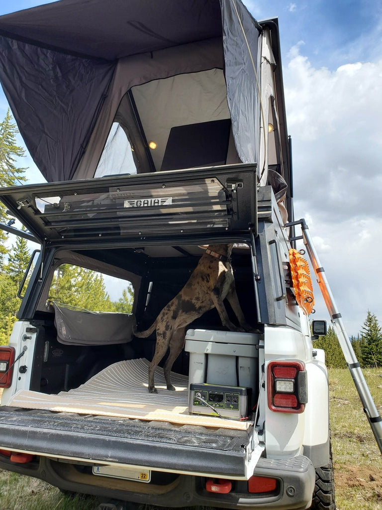 A Dog Standing Inside The GAIA Campers Jeep Gladiator Camper