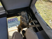 A Dog Inside The GAIA Campers Colorado/Canyon Camper
