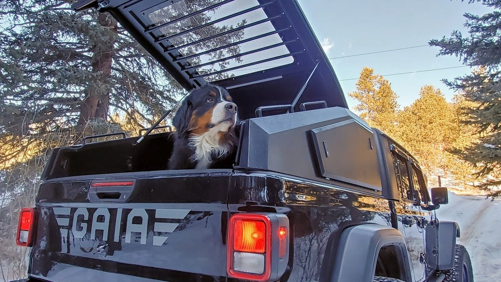 A Dog Inside The GAIA Campers  Gladiator Shadow Top Truck Cap With A Pop Top Lid Opened