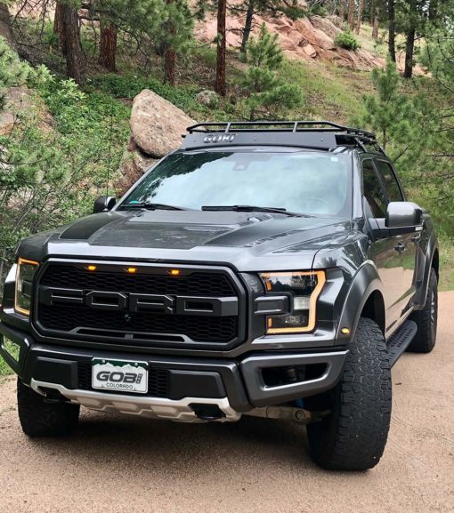 Ford FSeries Ford Raptor Gobi Stealth Rack 