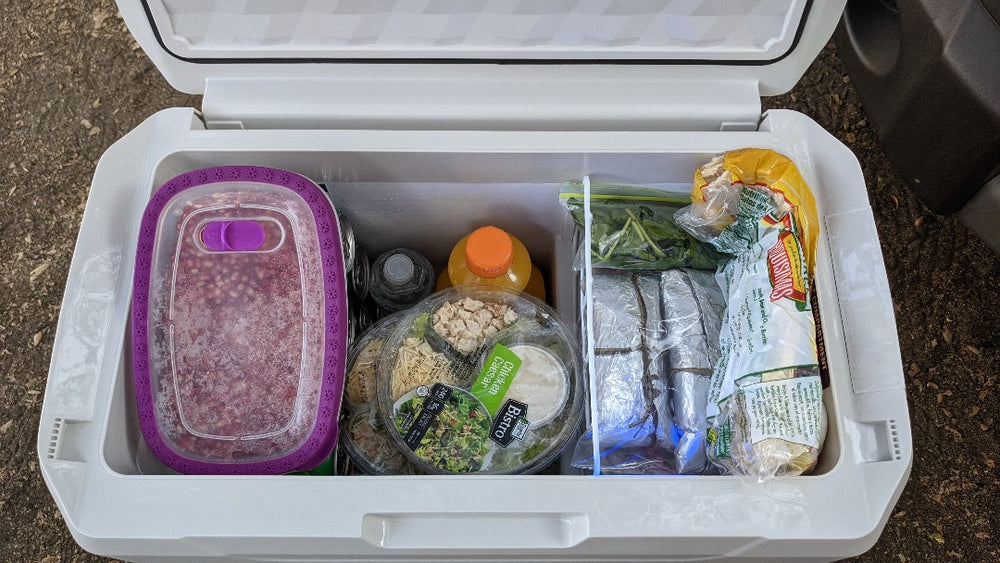 Guana Equipment Monteverde MV35 Electric Portable Fridge/Freezer