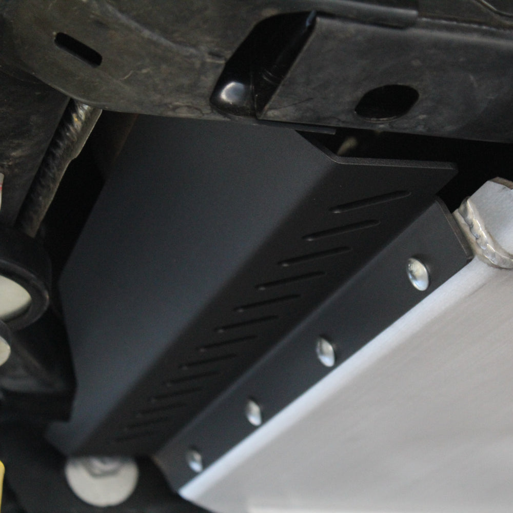 Close Up View Of The Catalytic Guard by RCI