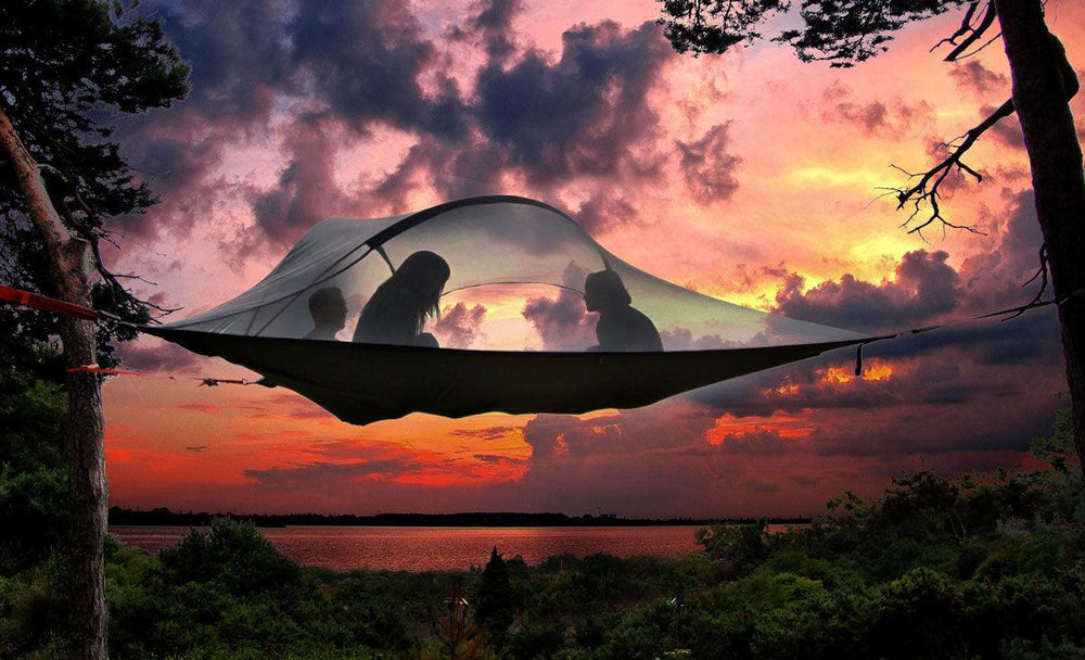 view at sundown of Stingray 3 Person Tree Tent - 15 Minute Setup - by Tentsile