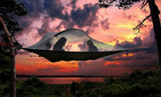 view at sundown of Stingray 3 Person Tree Tent - 15 Minute Setup - by Tentsile