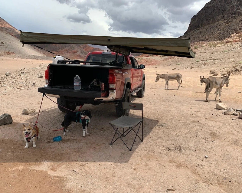 BillieBars Awning Mount Kit With A Mounted Awning