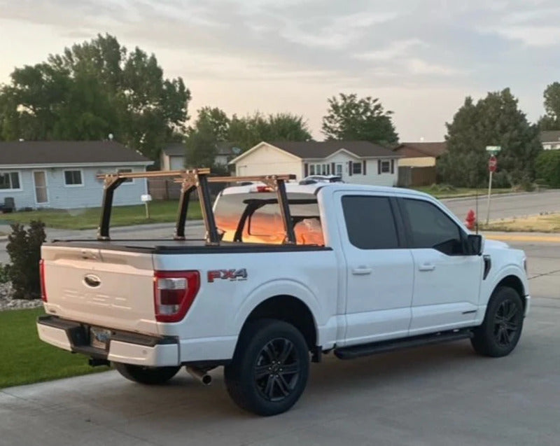 BillieBars Bed Bars For Ford F150, F250, F350 Tall