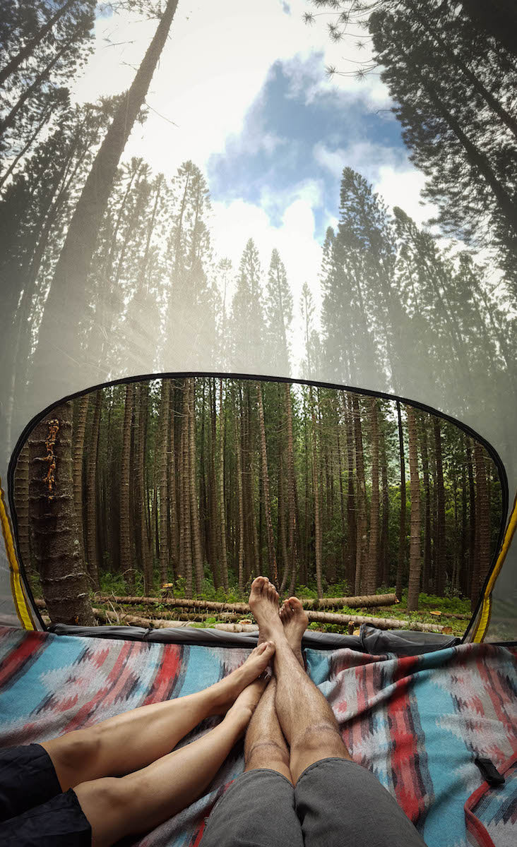 Tentsile Stingray 3 Person Tree Tent (3.0) - Off Road Tents