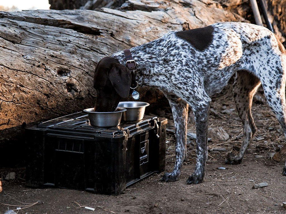 Wolf Pack Storage Box - Front Runner