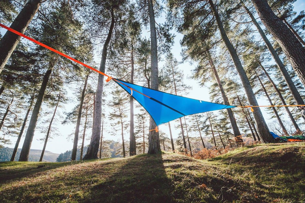 view from below of T-Mini Double Hammock - Lightweight - Fits 2 People - by Tentsile 