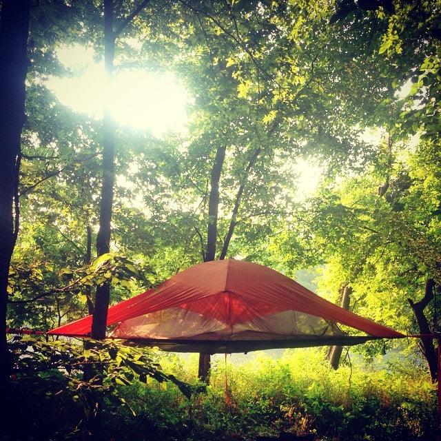 Vista 3 Person Tree Tent - 15 Min Set Up - by Tentsile