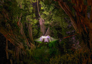 Stingray 3 Person Tree Tent - 15 Minute Setup - by Tentsile