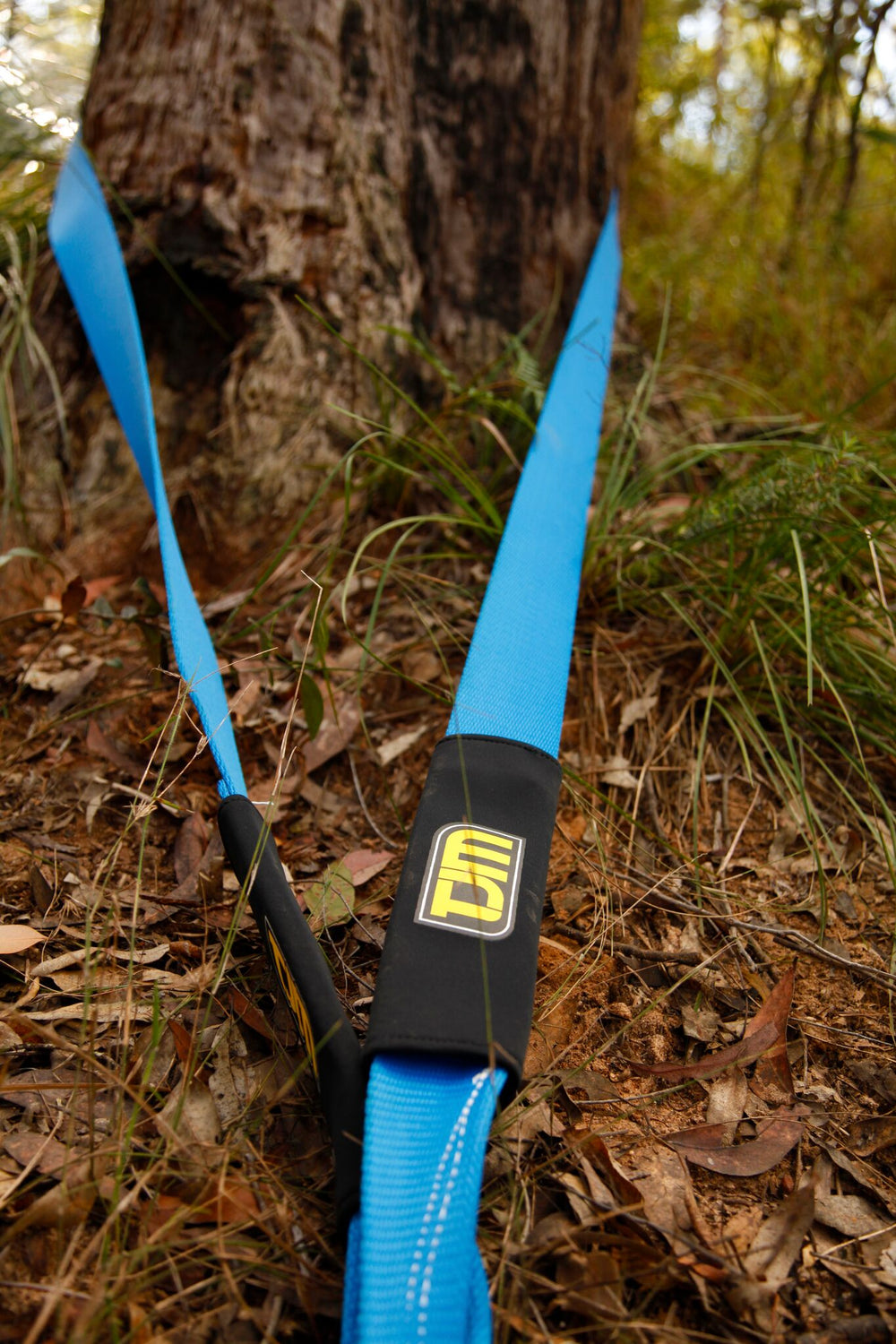 tom light blue strap around tree