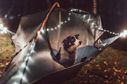 tentsile tree tent
